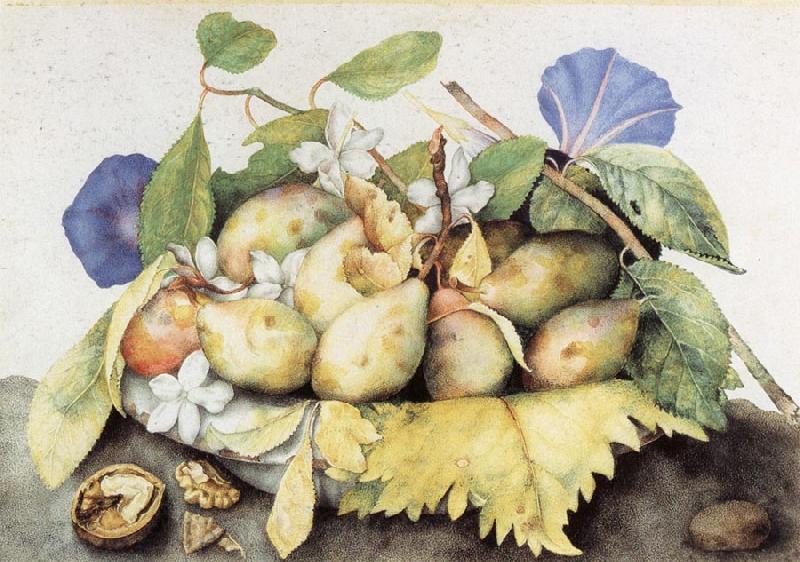 Giovanna Garzoni Plate of Plums with Jasmine and Nuts Norge oil painting art